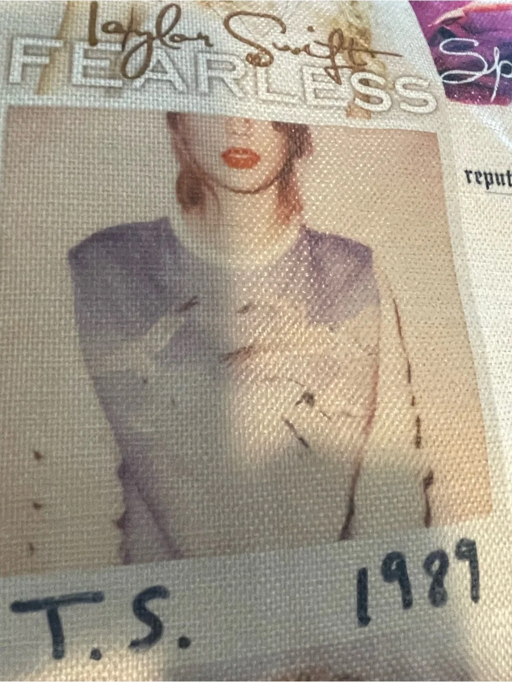 Taylor swift throw pillow